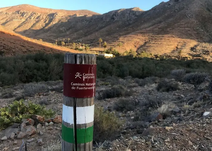 Apartman Casa Cactus Pájara